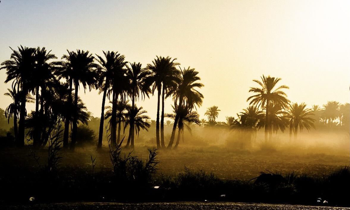 ‏الاميرة 🇸🇦 tweet media