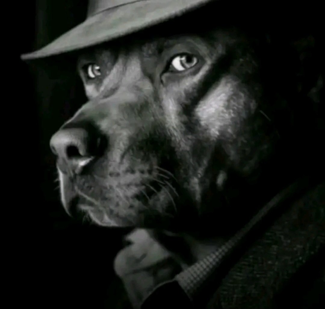 flext⁵ ³³ ⁶ ⁹⁷ tweet media