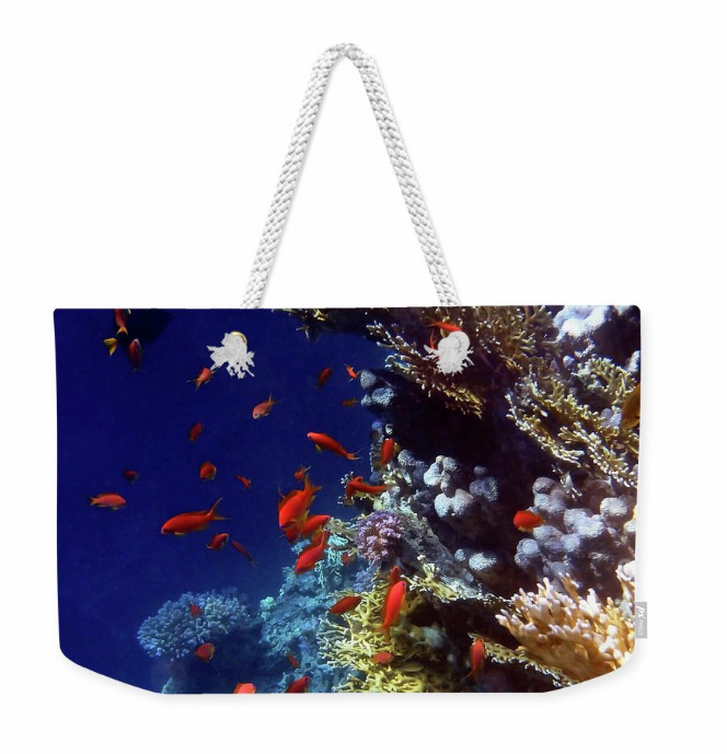 HurmerintaArt's tweet photo. Weekender bags are large bags with beautiful design on both sides. The rope handle is thick cotton.
Here are some of my weekender bags.
Welcome to have a look at all of my designs: https://t.co/2X0fU52rwo
#largebags #flowerbags #springbags https://t.co/vg84ikFwTY