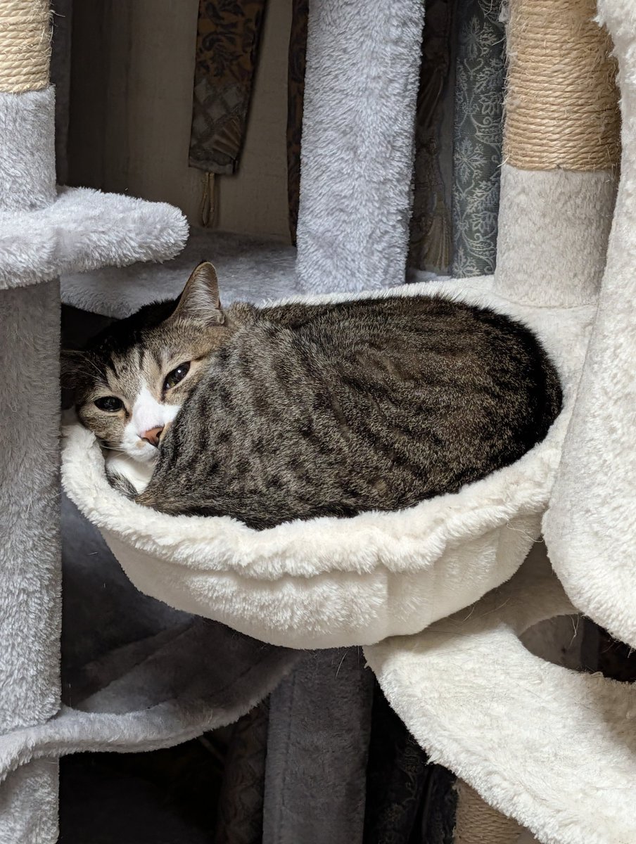 今日もここ。今のブームらしいです。ミチミチ