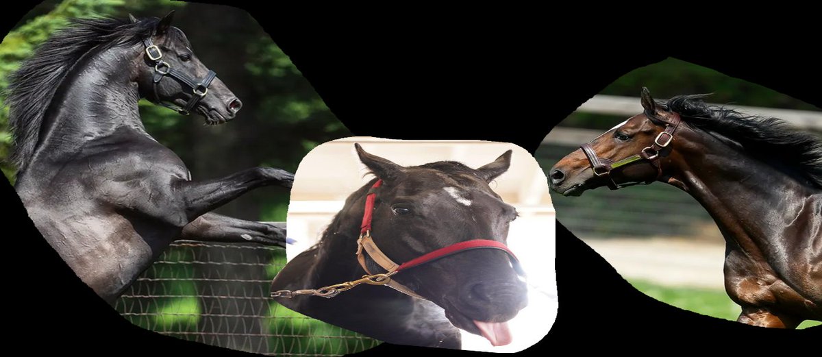 Nemmusou 🍉 tweet media