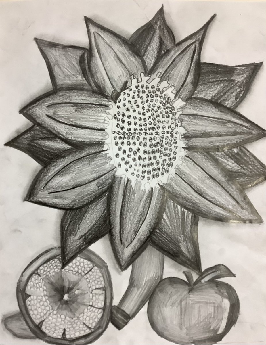 Oak Class St. David's Haigh tweet media