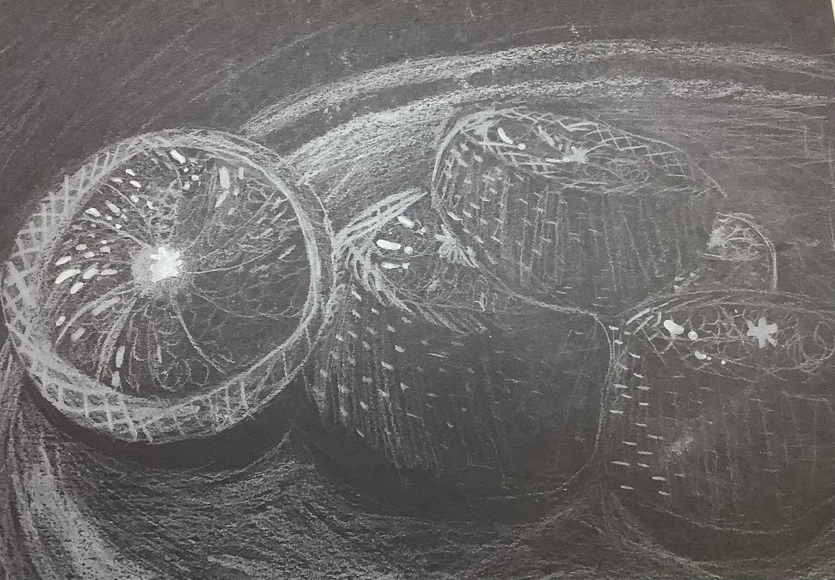 Oak Class St. David's Haigh tweet media