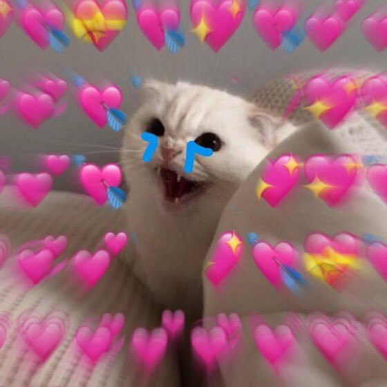 Noëlle S. 🌷 tweet media