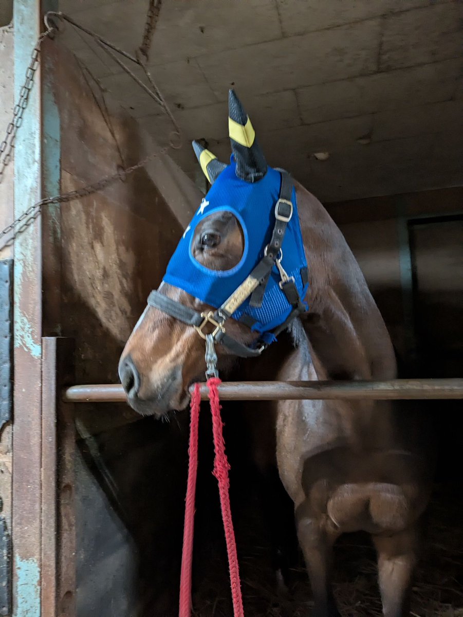 村上卓史 tweet media