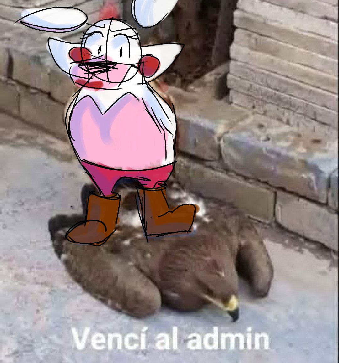 Mango 🥭 - Personal Account tweet media