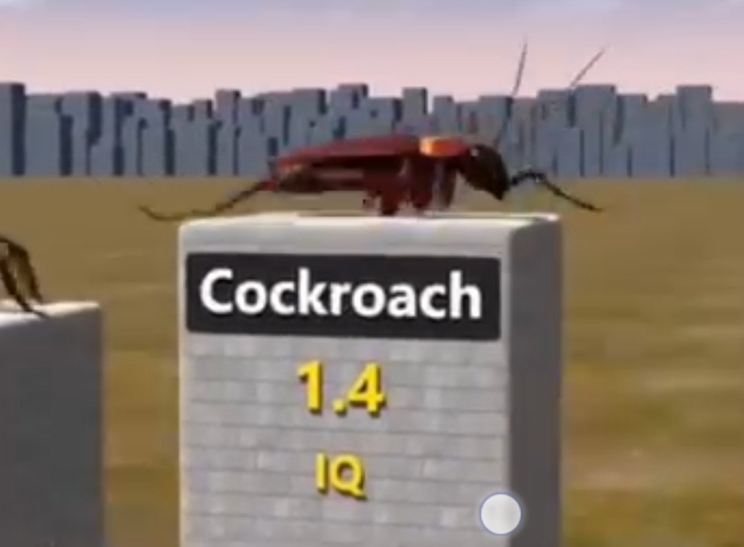 halit demir tweet media