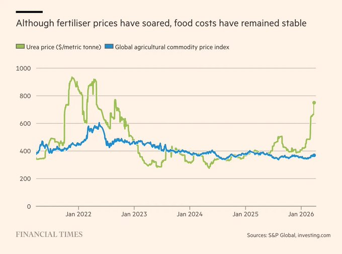 Lukas Ekwueme tweet media
