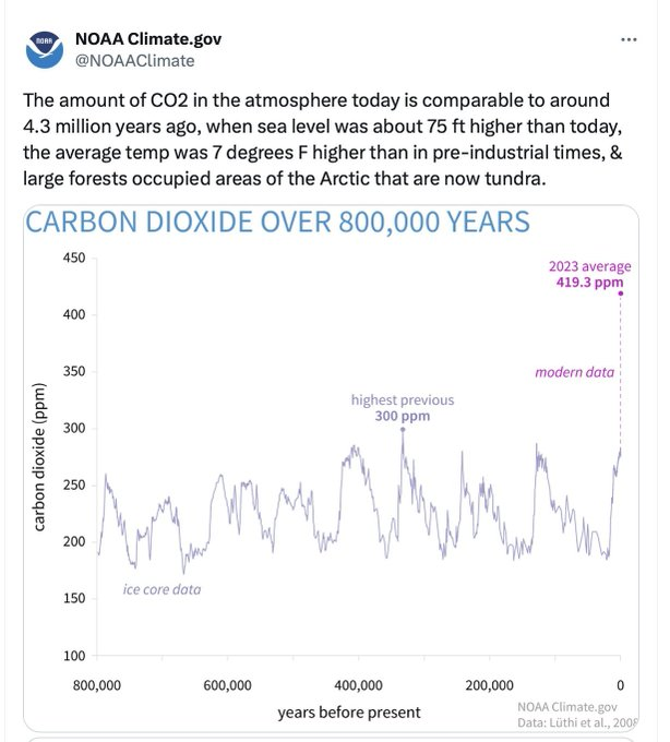 Critica Climatica Alias Fortunato Nardelli tweet media