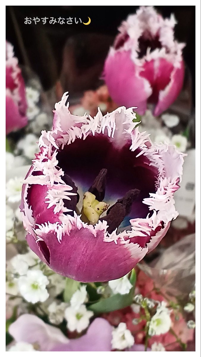 ようよ tweet media