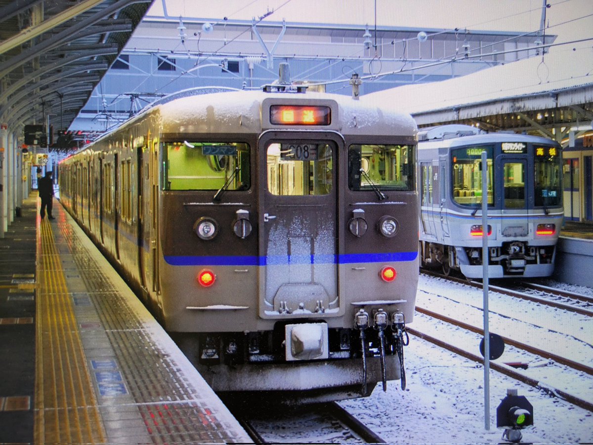 因幡の白兎 tweet media