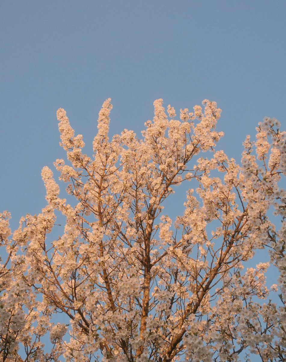 іронічний вайб tweet media