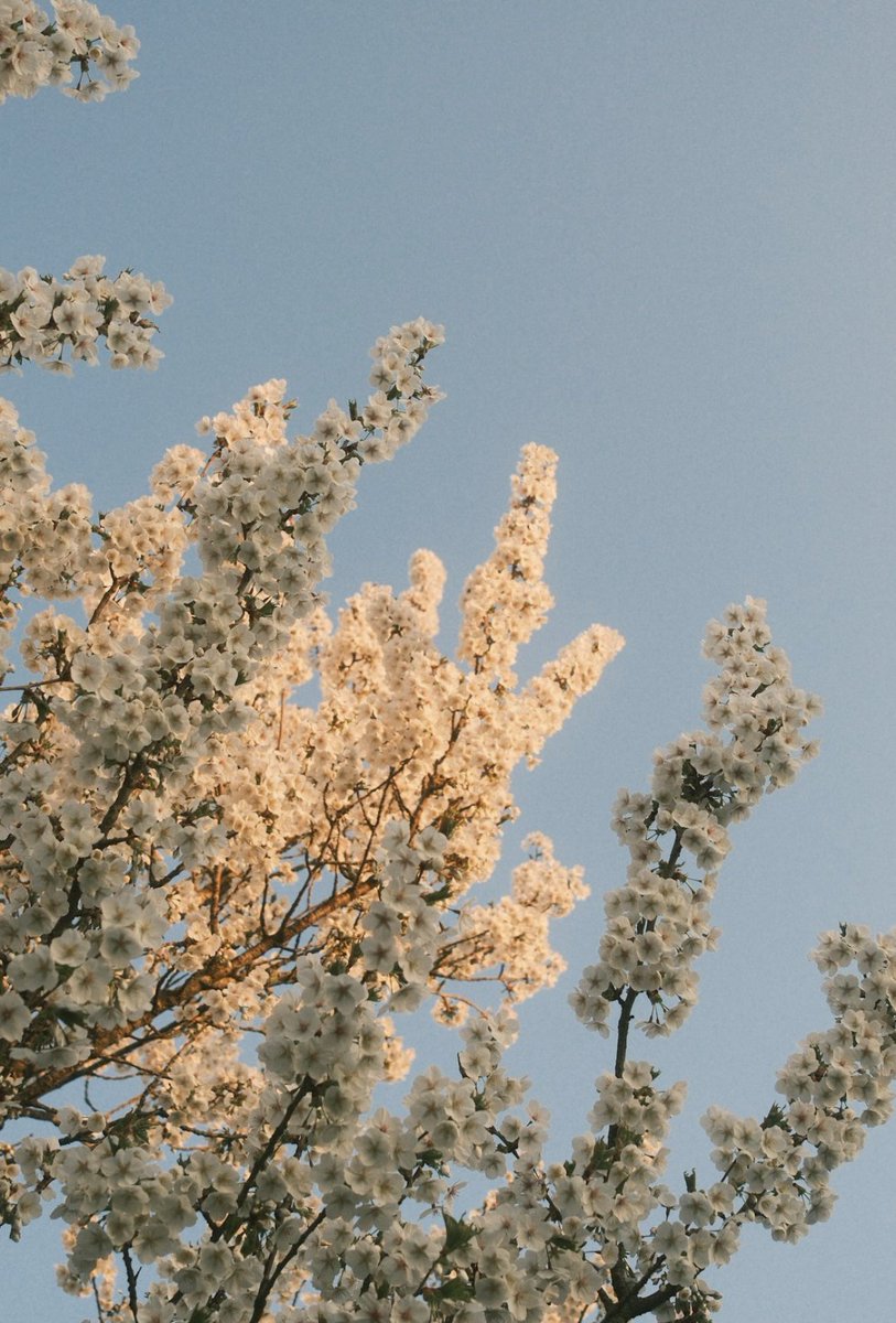 іронічний вайб tweet media