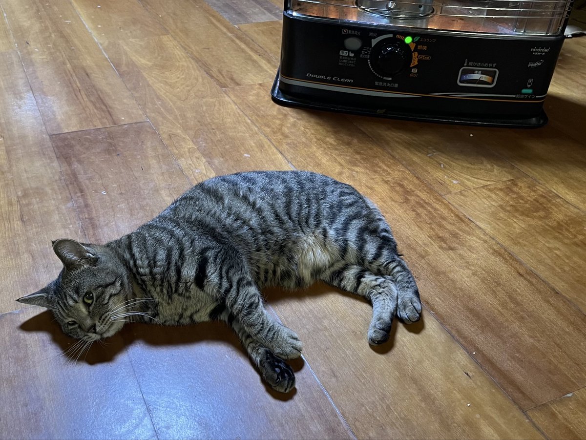 Locked太まねかれ tweet media