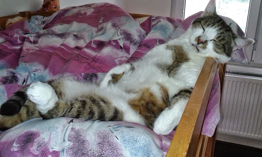 제발디타검좀보자 tweet media