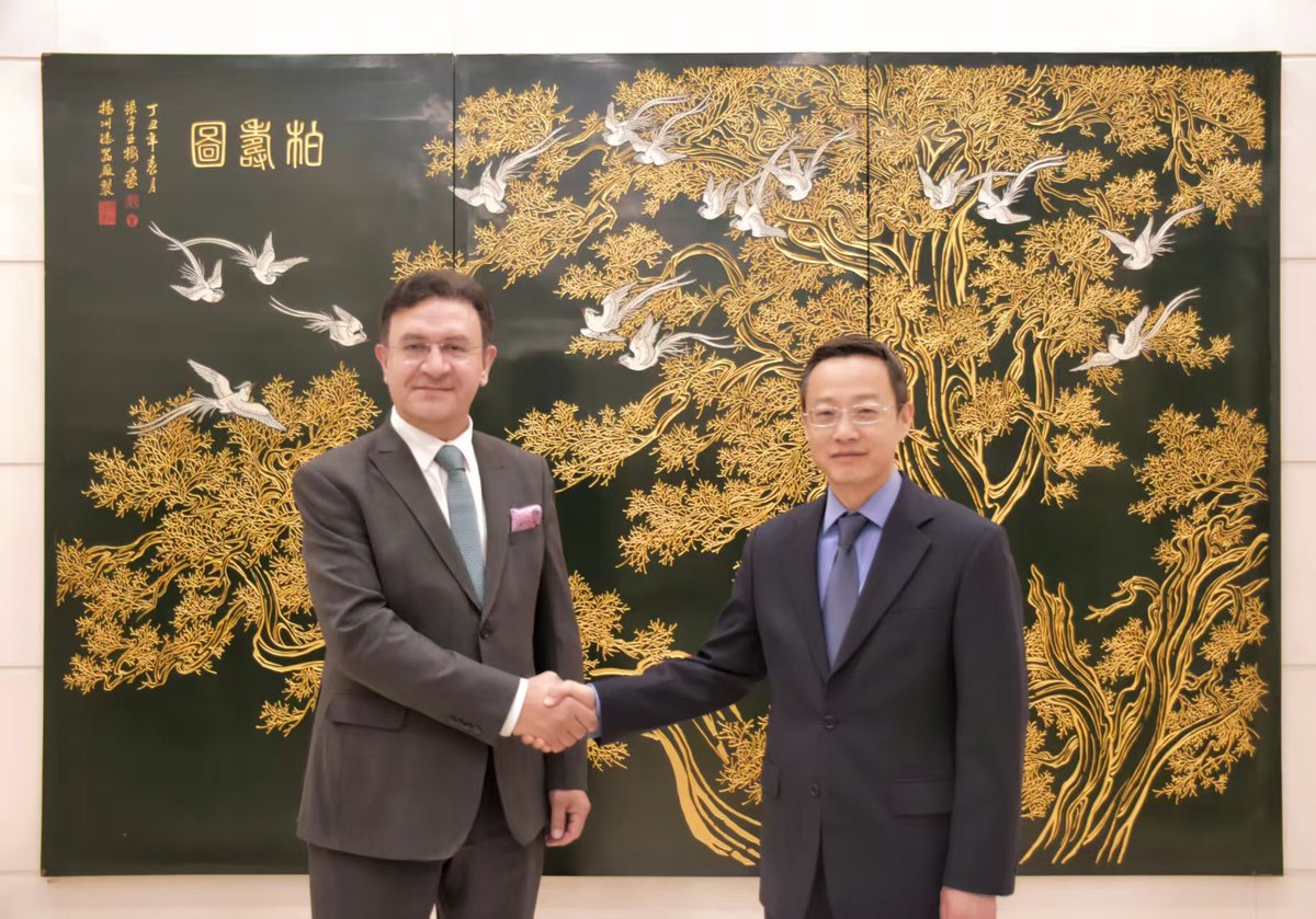 Pakistan Embassy China tweet media