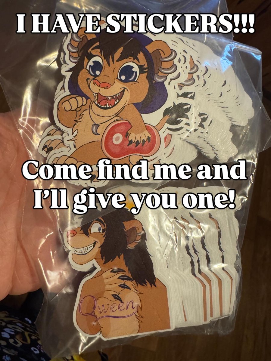 🐉✨️Momo✨️🐉🔜Denfur tweet media