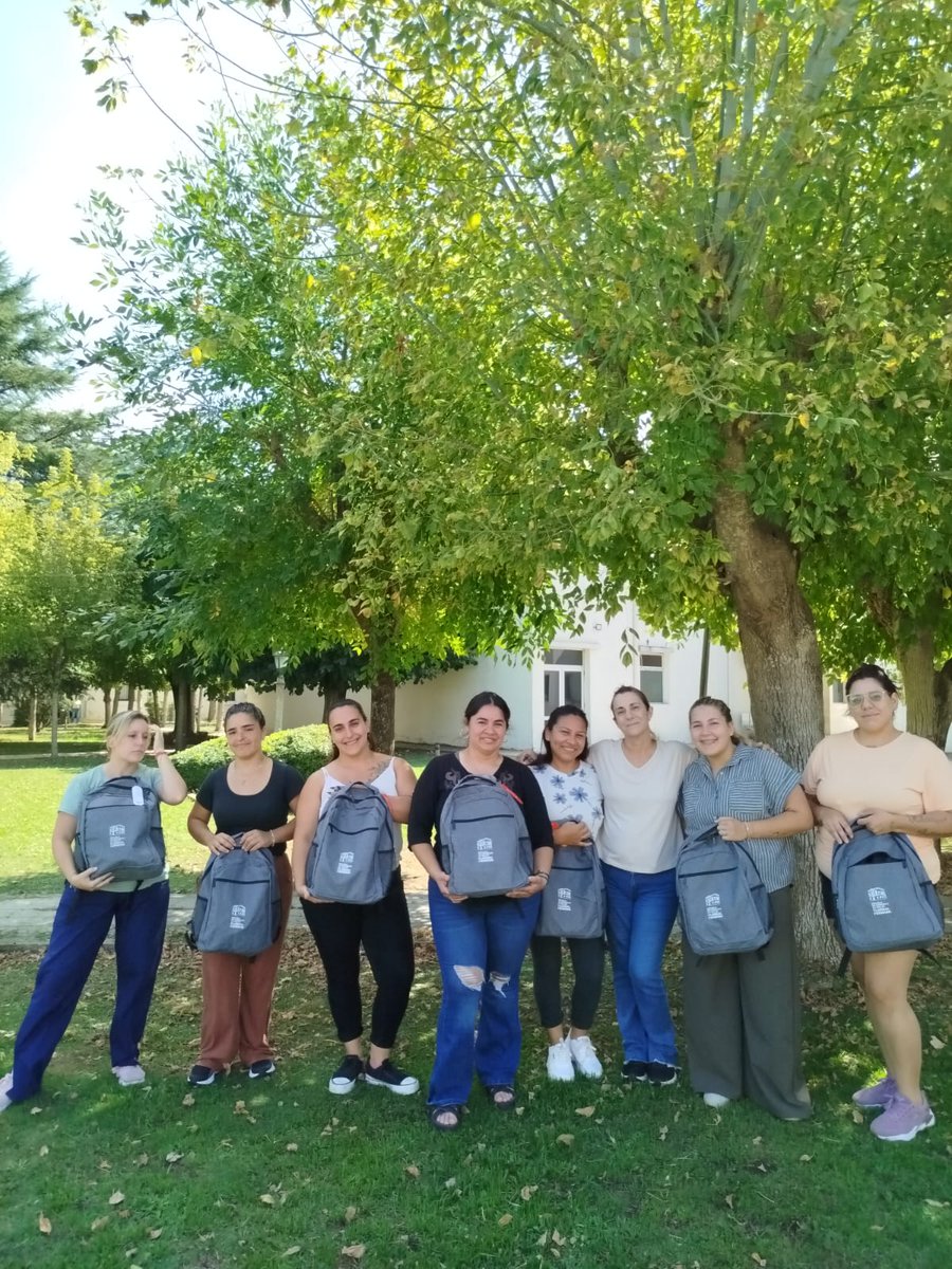 Región Sanitaria X tweet media