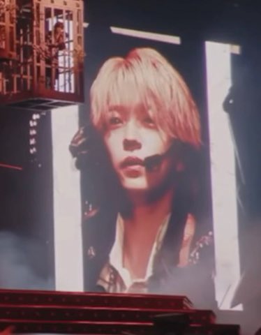 🐶❤️🐾 tweet media