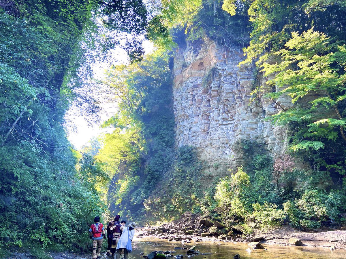 雛咲望月🌙🍥🎀片麻痺LARPer &ファンタジーキャンパー📯M.Hinasaki tweet media