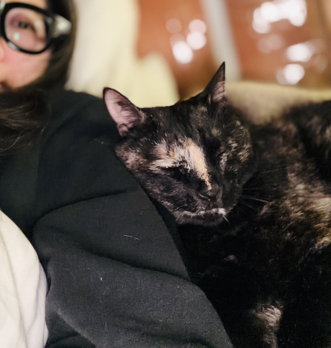 大和田千弘 tweet media