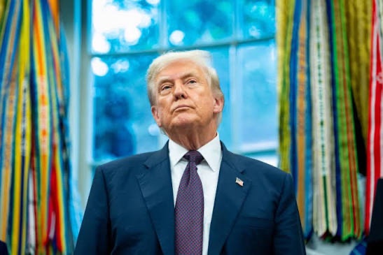 Coin Bureau tweet media