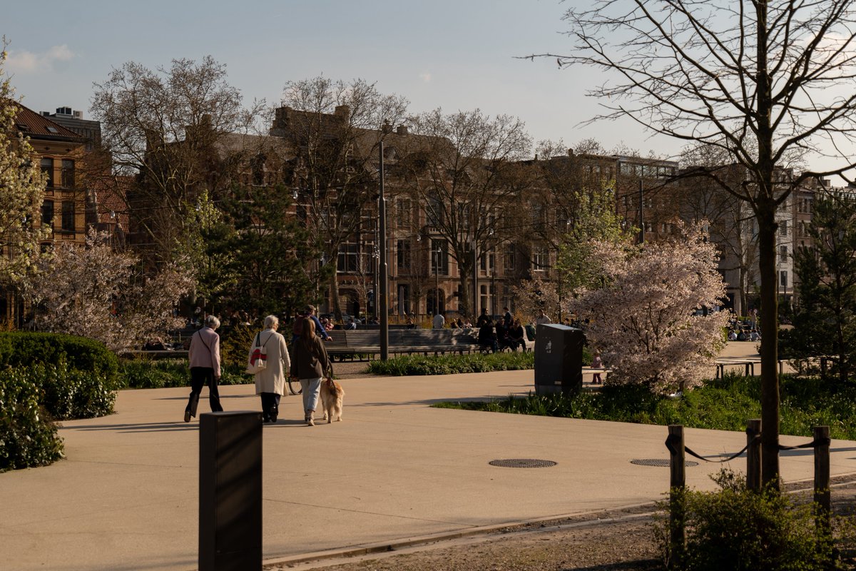 Raphael Barberi📷 tweet media