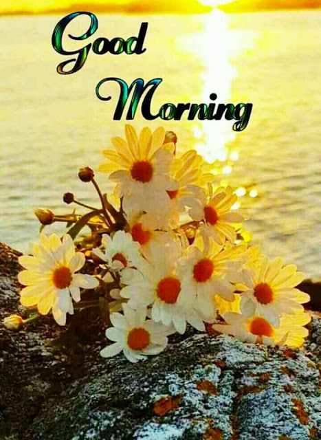 Fr Darshan Naik tweet media