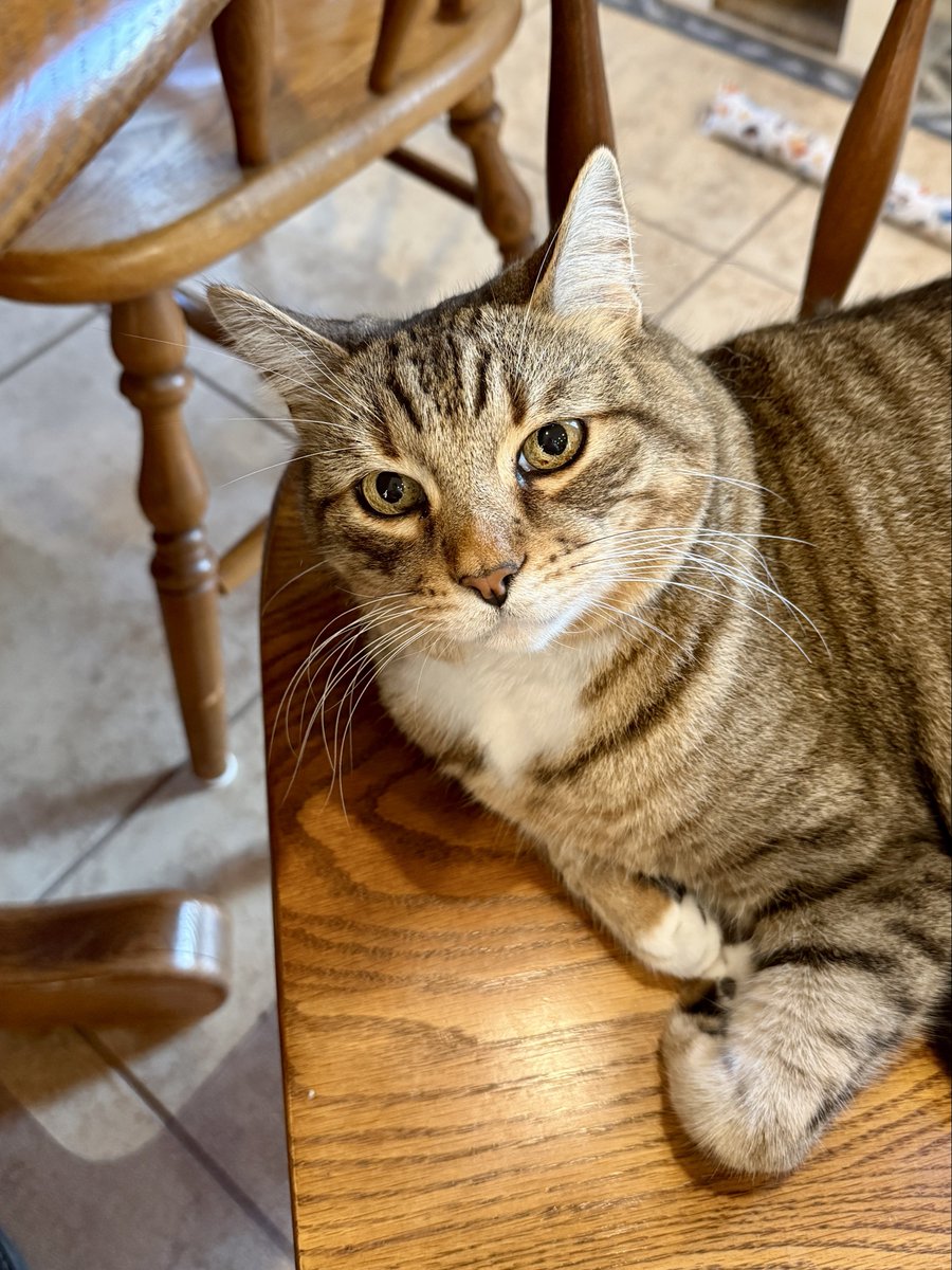 Mel Asks tweet media