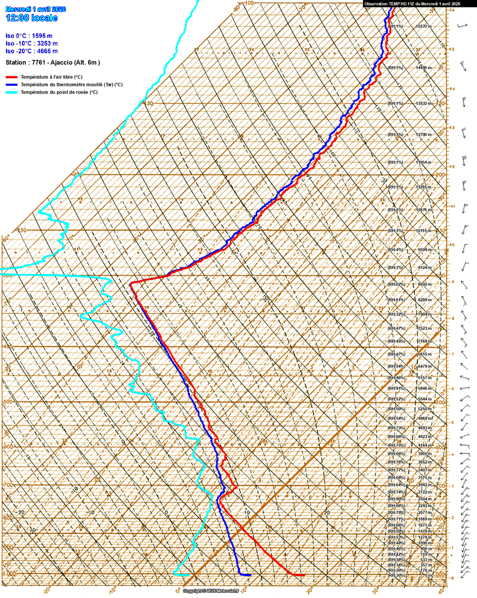 Tropo Profil tweet media