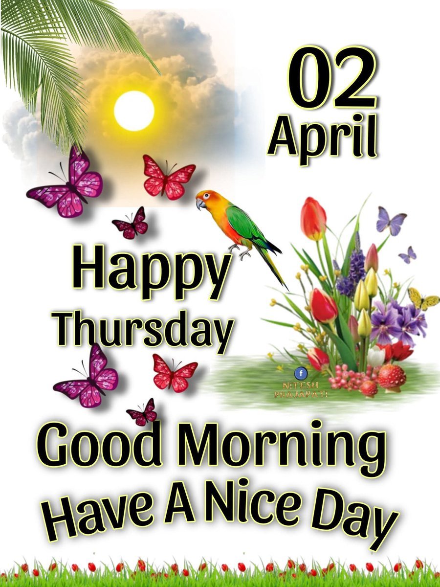 shalinigudiya's tweet image. Good morning, everyone! ☀️
I hope you all have a wonderful Thursday today, April 2nd! 🦋 Let's make it a fantastic day. 🌷 Wishing you all the best! 🦜 #GoodMorning 🌻🌱#HappyThursday 🪴🪻🌹
