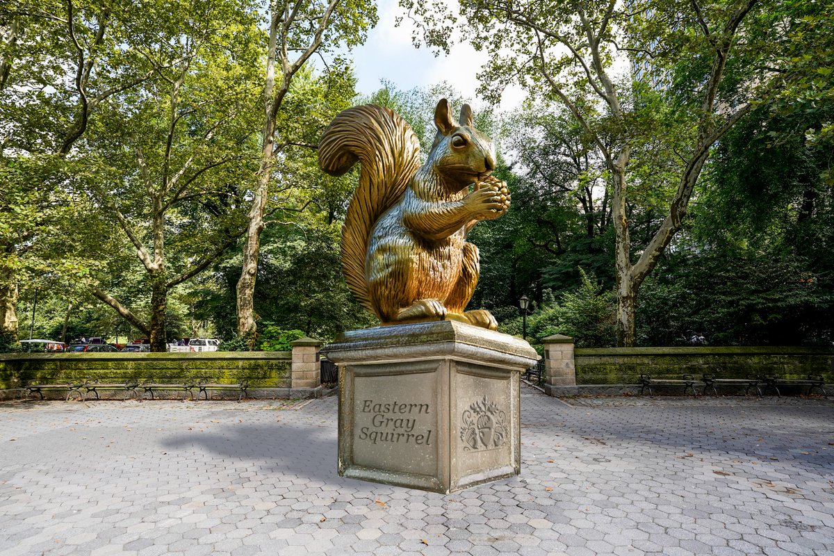 Central Park tweet media