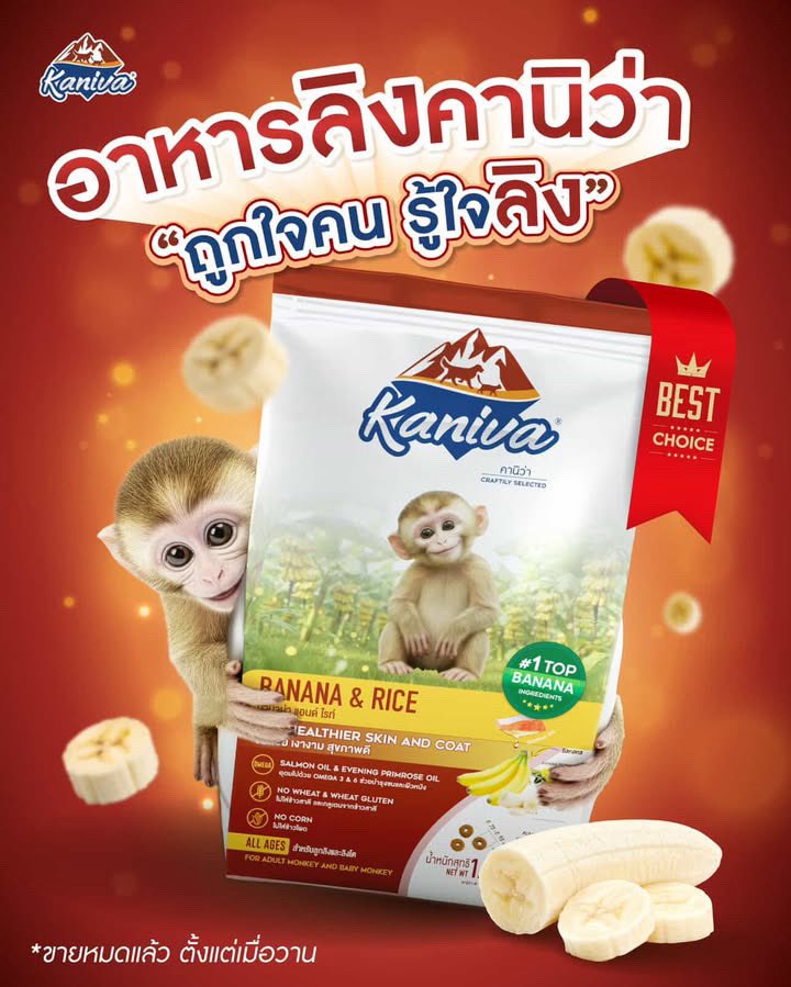 ราชา tweet media