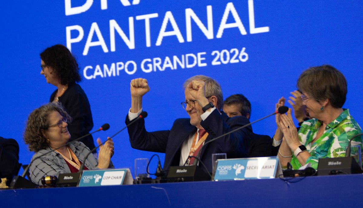 IISD_ENB's tweet image. Parties at #CMSCOP15 showed the benefits of international cooperation, which has improved the conservation status of migratory species—including the saiga antelope, scimitar-horned oryx, and Mediterranean monk seal

Summary ➡️ enb.iisd.org/conference-par…

#wildlife #biodiversity