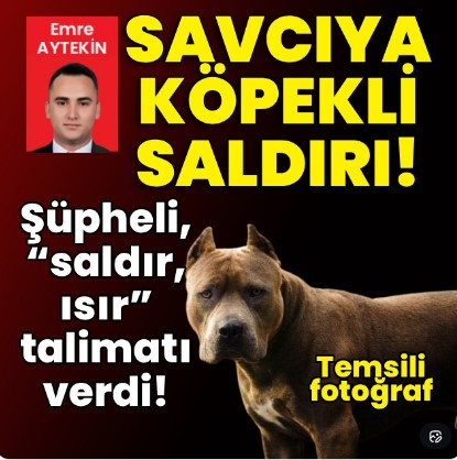 Güvenli Sokaklar tweet media