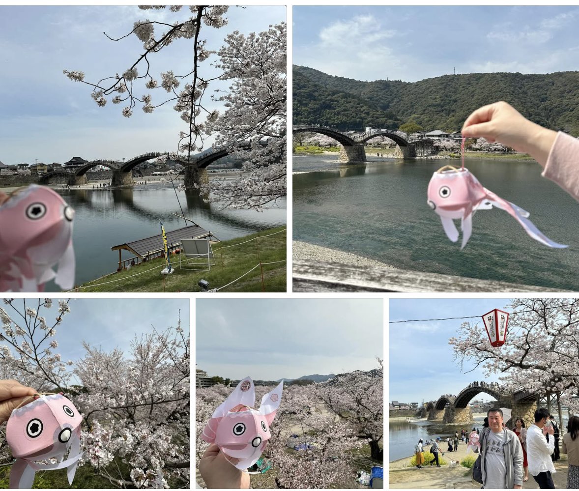 カワノ工業@金魚ちょうちん柳井(^_^)v tweet media