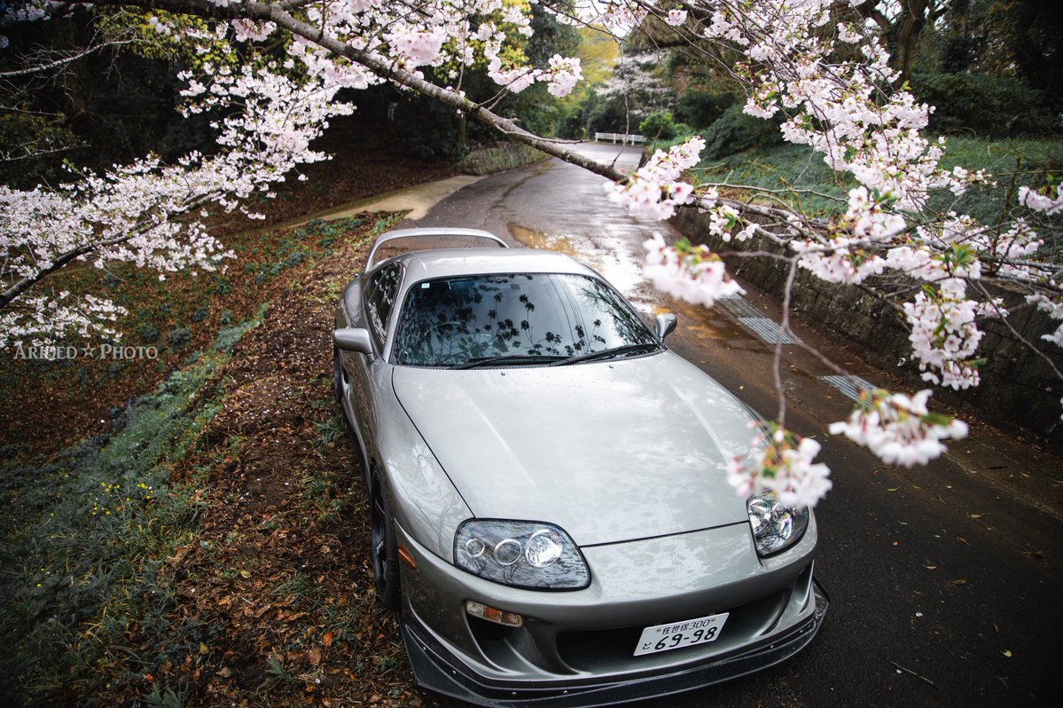 アリデッド tweet media