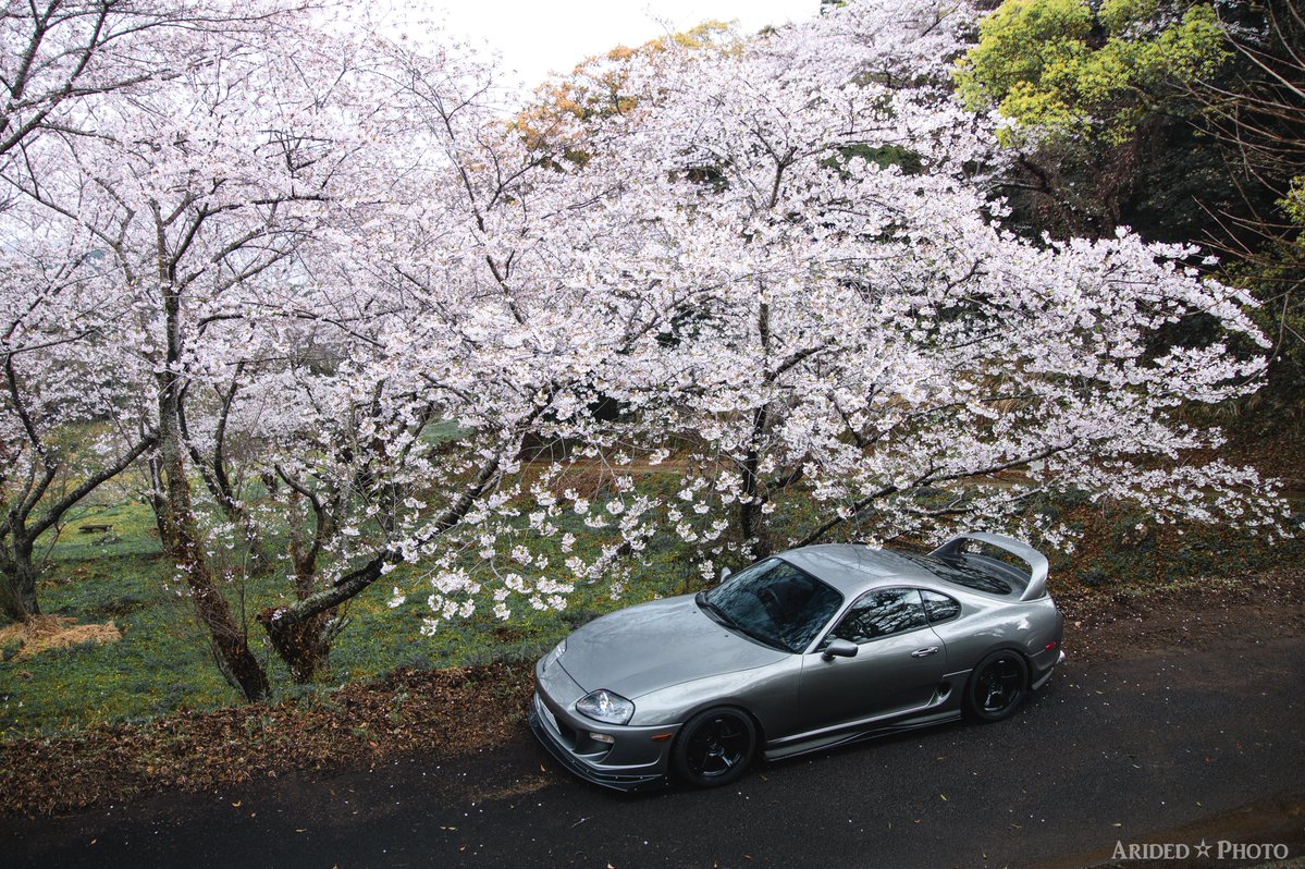 アリデッド tweet media