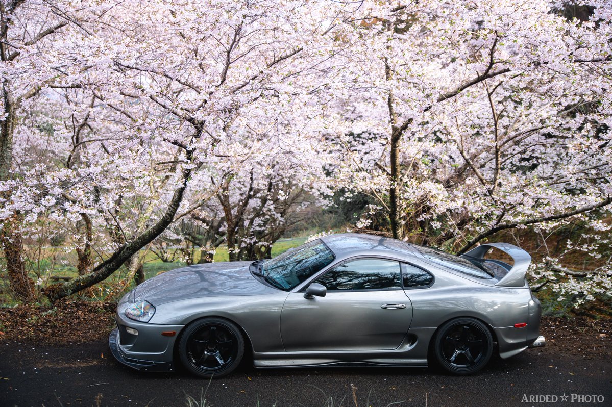 アリデッド tweet media