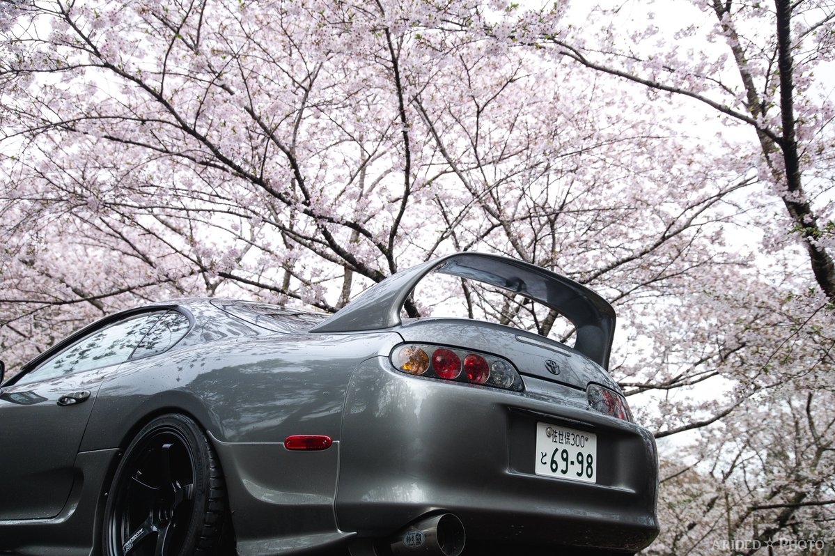 アリデッド tweet media