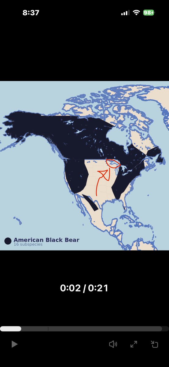 Random Minnesotan tweet media