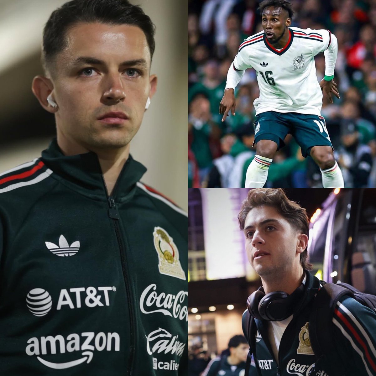 Cerebros tweet media