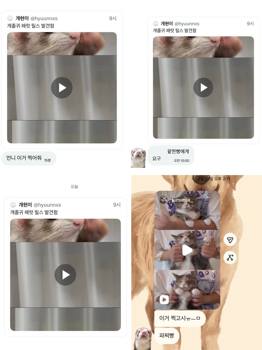 팥찐빵 찌는 중 👩🏻‍🍳💭 tweet media