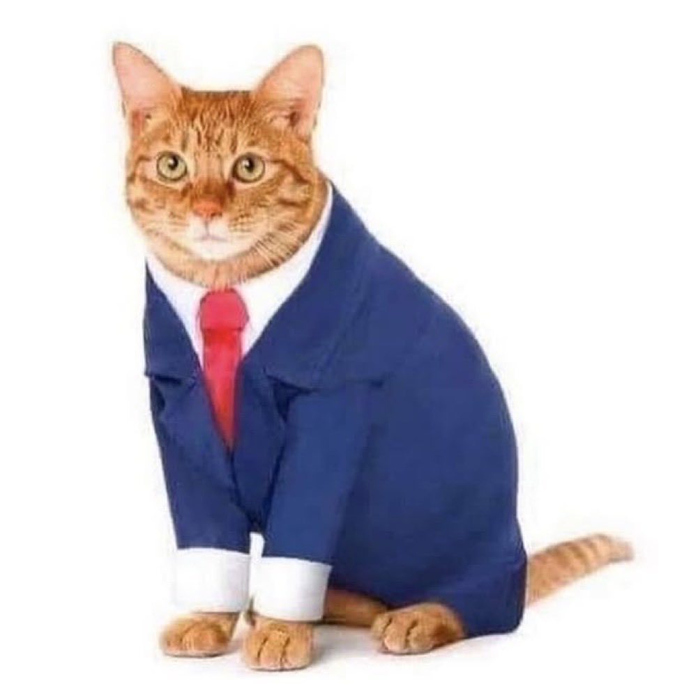 i feel like this every time i have to switch to “formal but friendly but not too friendly and a bit casual but still formal and assertive but not too assertive” language in an email