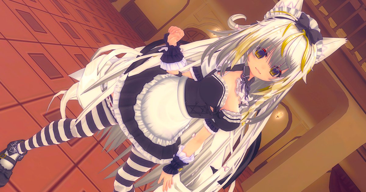 ばし🐈🐇 tweet media