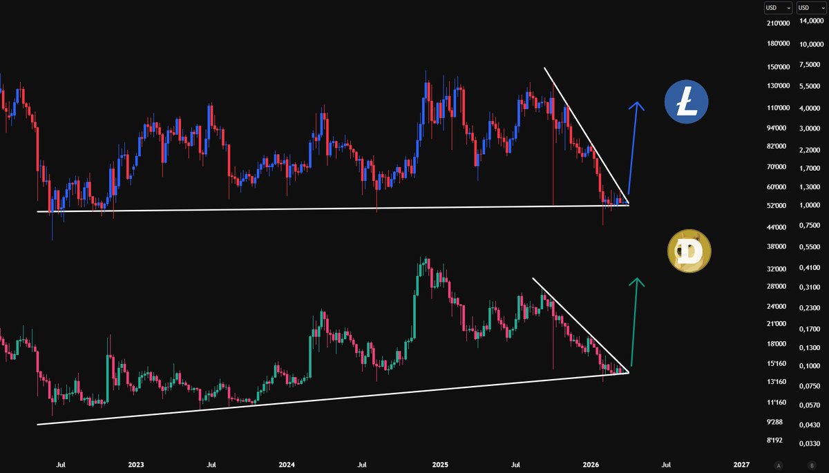 Minimilian tweet media