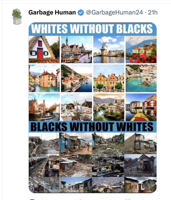 DeSantis for prez tweet media