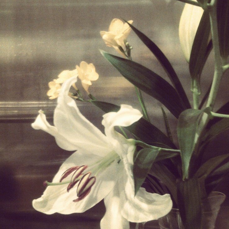 zui | looking for mutuals! tweet media