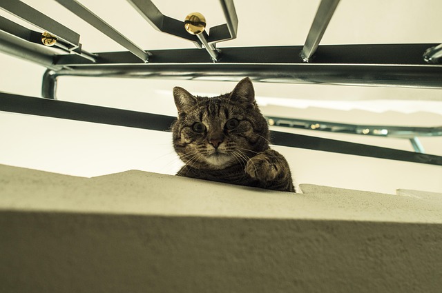 雨桐🌸同城上门🌸 tweet media