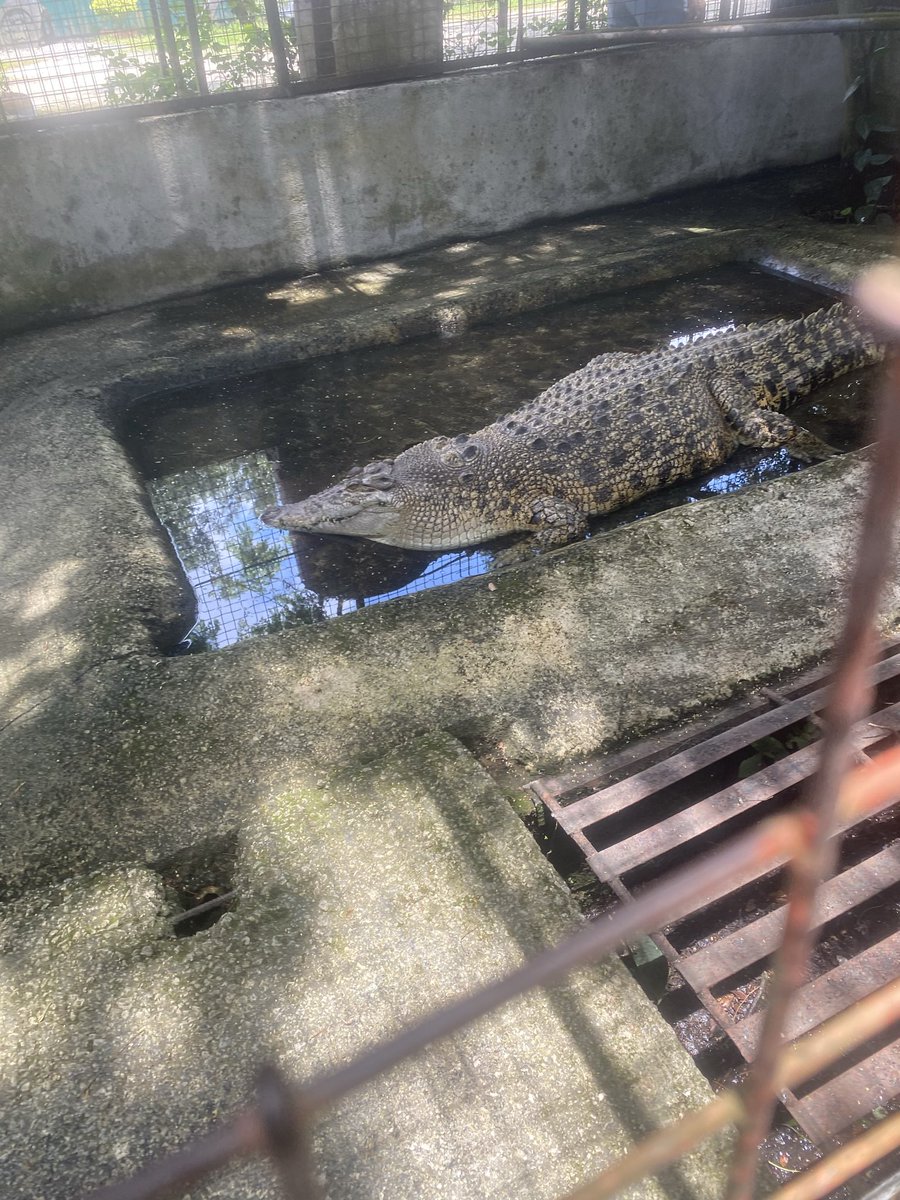 OneSingleTower's tweet photo. Another day in the life of a Philippine public official. Just enjoying a cool dip on a really hot day. https://t.co/tAddYFtOEu